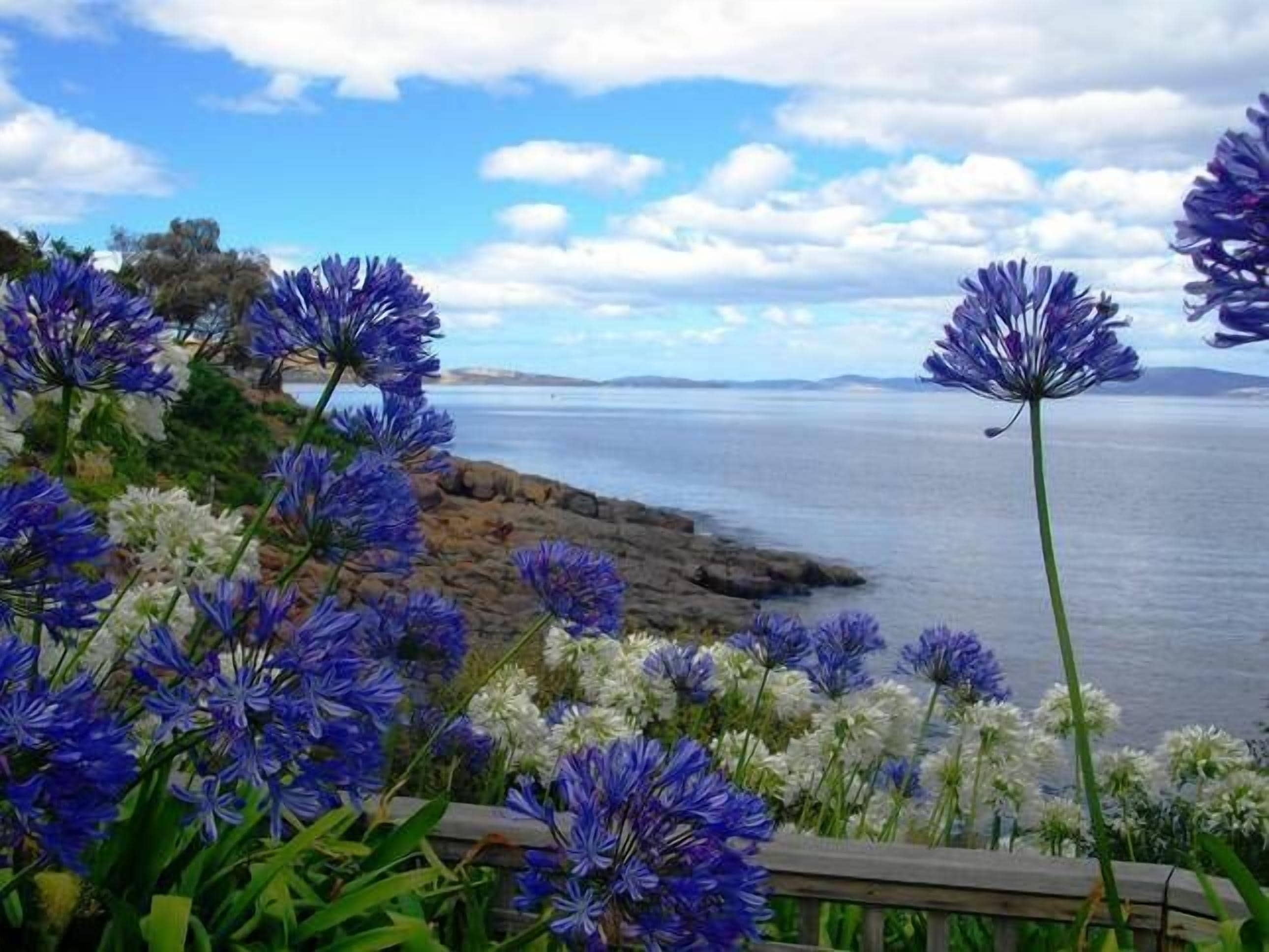 Shack on the Edge Waterfront — image 9
