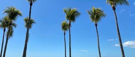 Accommodatie ligt op het strand