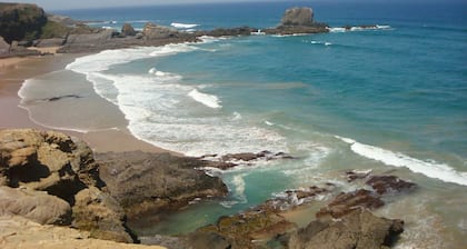Charmant, front de mer avec toit de soleil énorme donnant sur la plage
