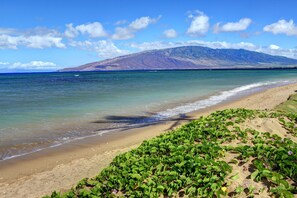 En la playa, camastros y toallas de playa 