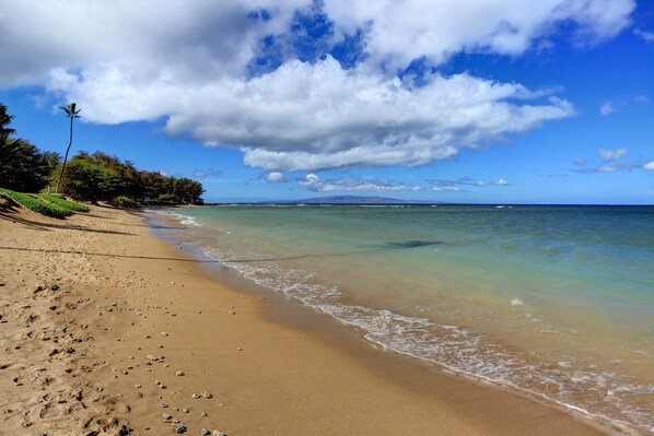 On the beach, sun-loungers, beach towels