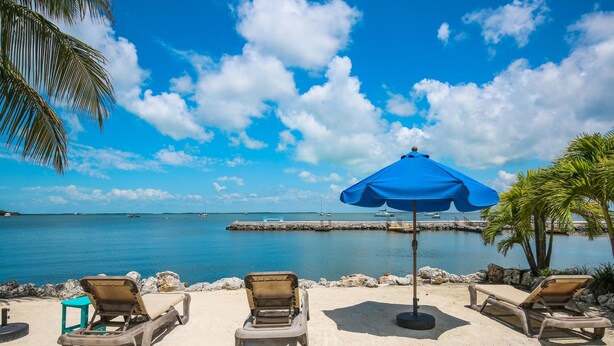 A beach with lounge chairs and a blue umbrella, a calm sea, and a clear sky. - Elegant Home with Beach & Dockage! Spectacular Sunsets! (Key Largo)