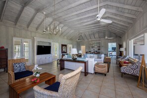 TV, fireplace, video games, DVD player