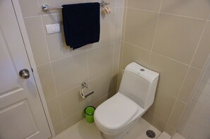 Hair dryer, towels, shampoo