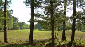 A grassy field with tall trees and a clear sky. - First Floor Luxury 1,350 Sq Ft  First Floor Condo w/ No Steps  (Myrtle Beach)