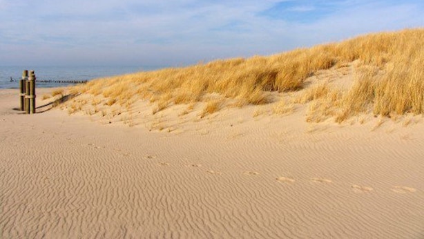 A sandy beach with dunes and a clear sky. - WALK to Lake Michigan AND Saugatuck ~ Includes Bicycles! (Douglas)