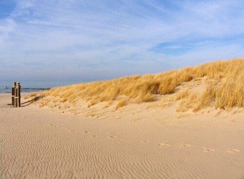 WALK to Lake Michigan AND Saugatuck ~ Includes Bicycles! 