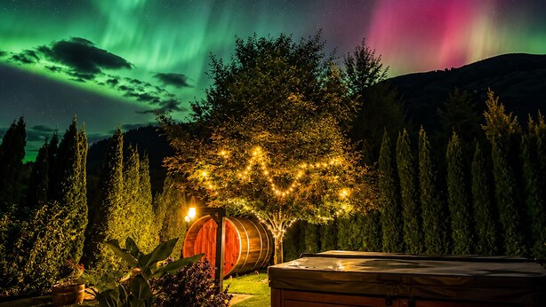 A tree with lights, a wooden barrel, and a hot tub in a forest setting.