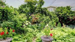 A lush garden with various plants and flowers, a stone pathway, and a traditional Japanese lantern in the background.
