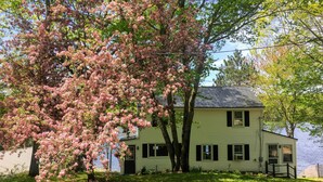 A two-story house with a green exterior, a dock, and a large tree with pink blossoms in the foreground.