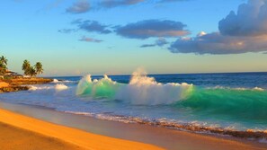 A beach with waves crashing onto the shore, palm trees, and a clear sky.