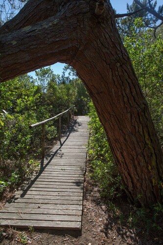 Private access to the beach - Tuscany