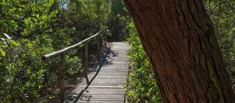 ビーチへの私的アクセス - トスカーナ