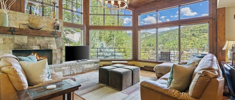 Smart TV, chimenea, reproductor de DVD