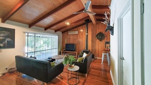 Smart TV, fireplace, DVD player, video library