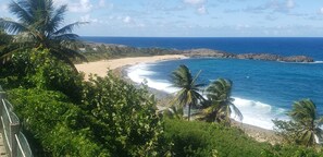 Eine Küstenlandschaft mit Sandstrand, Palmen und Felsformationen.