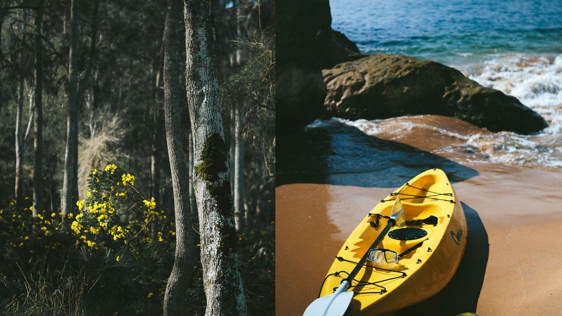 The Little Black Shack — image 7