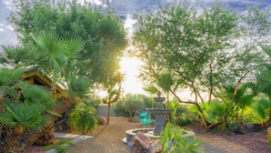 Un jardín con una fuente, palmeras y una estructura rústica de piedra.