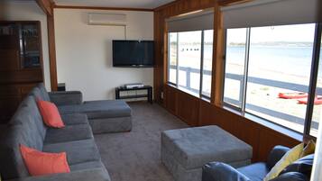 TV, fireplace, DVD player, books