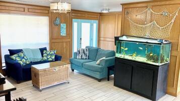 Smart TV, fireplace, DVD player, books