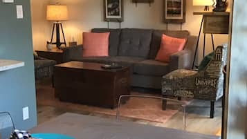 Smart TV, fireplace, DVD player, books