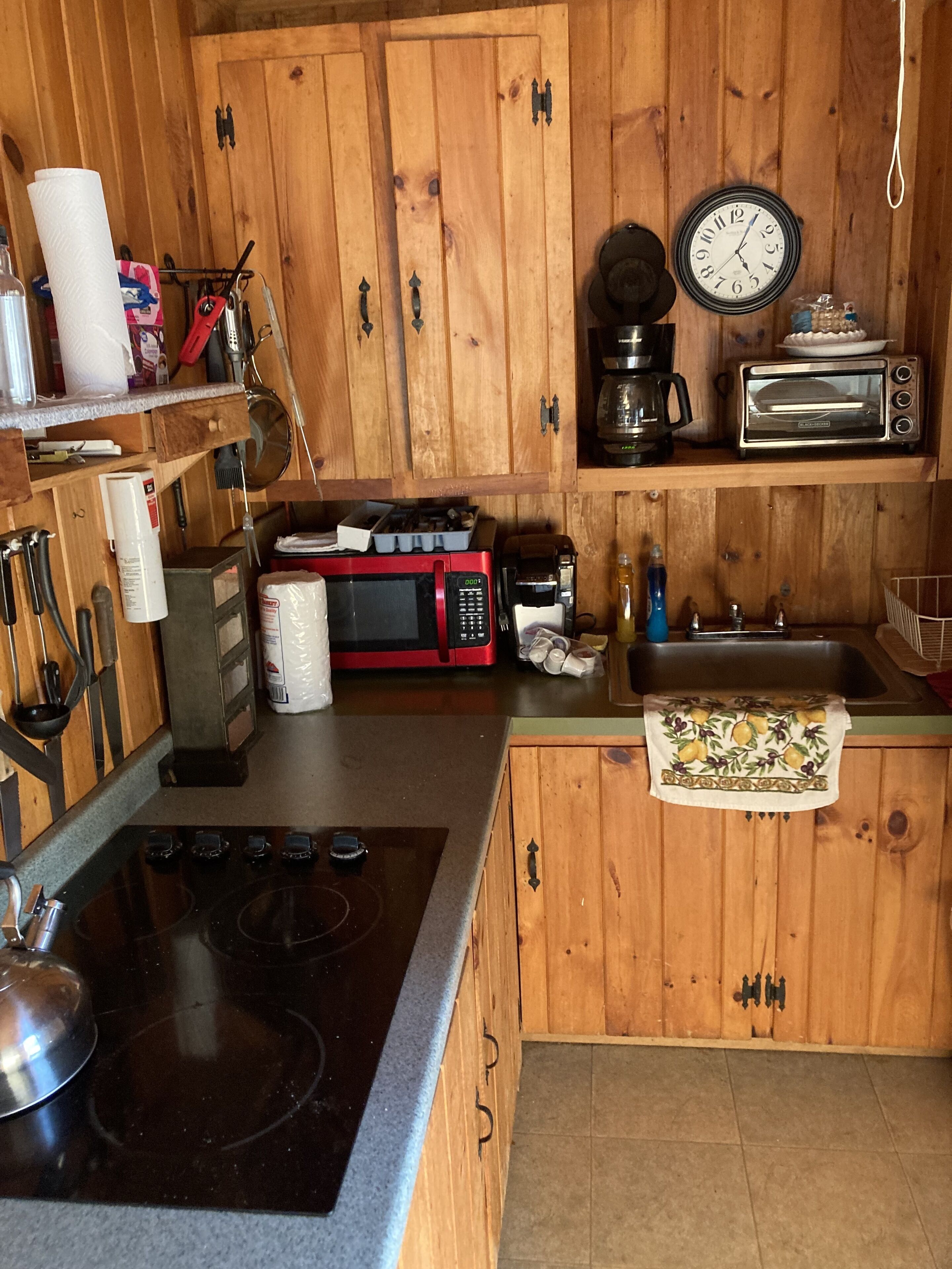 Secluded Country Cabin with Beach on Private Lake