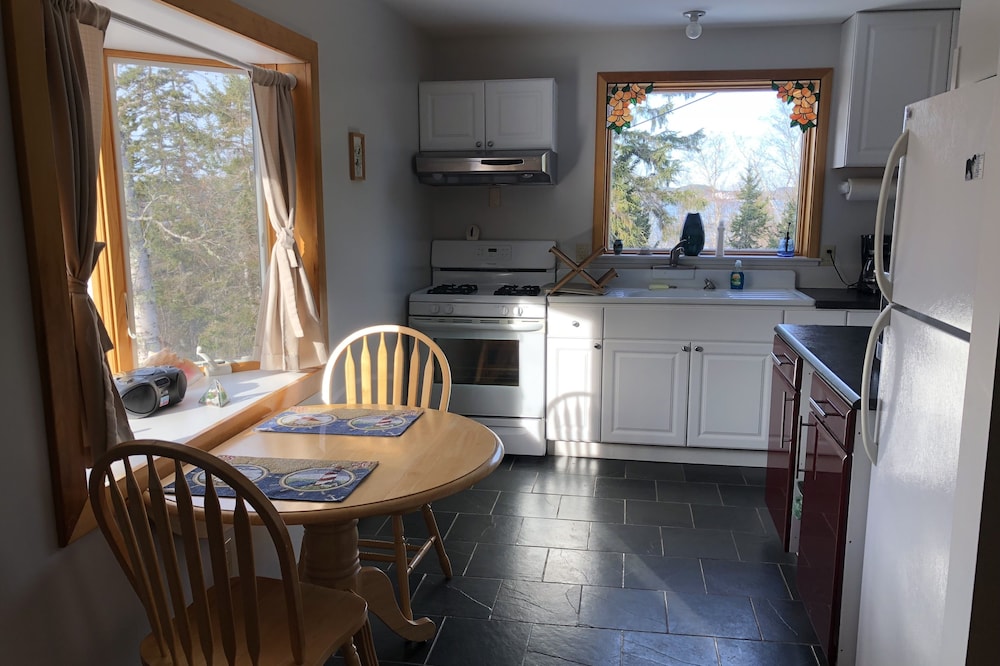 Updated Apartment Quiet Location Trees Water Walk To Downtown.