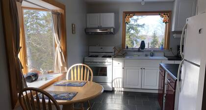 Updated, Quiet Location, deck, trees, one bedroom plus futon, Walk To Downtown.
