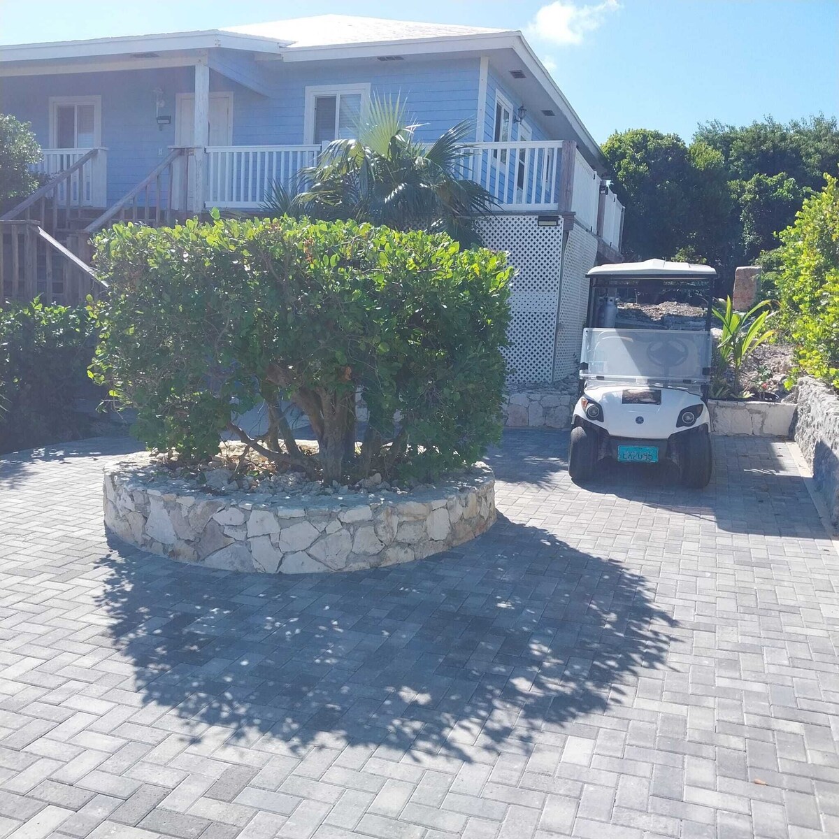 Imagen de perfil del propietario o de la propietaria