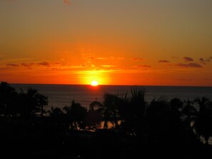 A sunset over the ocean with silhouettes of palm trees in the foreground. - Henry's Penthouse on the Ocean in Key West  - weekly / nightly rentals (Key West)