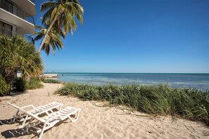 Une plage avec des chaises longues blanches, un palmier et un ciel bleu azur.