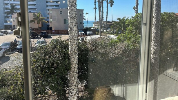 A view from a window overlooking a parking area with palm trees and a building in the background. - Newly refreshed  Beach Apartment..Steps to the sand! (San Diego)