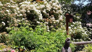 A garden with a statue of a figure holding a bird, surrounded by various plants and flowers.