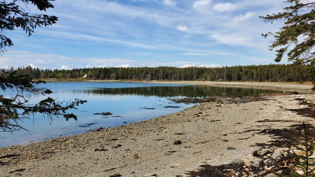 A calm lake with a pebbly shore, surrounded by dense forest and a clear sky. - Prud'homme Cottage: bright, private architectural cottage on Mitchell Cove (Bernard)