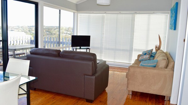 TV, DVD player, books, video library