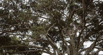 Somerset Sunset - yksinomainen käyttö koko omaisuus