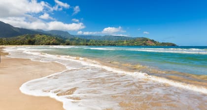 Hanalei Moon Beach -mökki lanailtasi 2 ruohoa, 2 hiekkaa ja merta