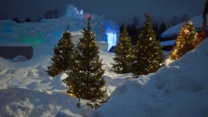 A snowy landscape with illuminated Christmas trees and a large ice sculpture in the background.