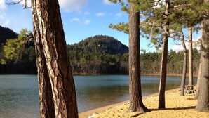 A beach with trees and a lake.