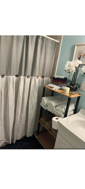 Shower, towels, soap, toilet paper -  Cozy, Waterfront Studio Getaway (Indian Shores)