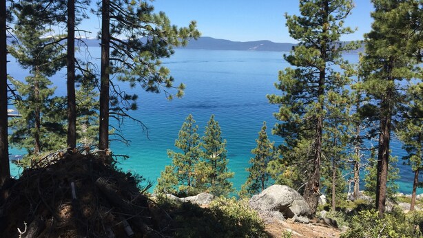 A clear view of a lake surrounded by tall pine trees, with a rocky shoreline and a distant mountain range.