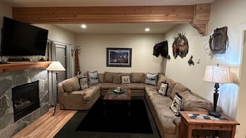 TV connectée, cheminée, lecteur de DVD, vidéothÚque