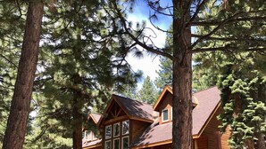 A wooden cabin with a porch, surrounded by tall pine trees.