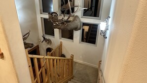 A staircase with a wooden railing leading to a landing with a mounted deer head.