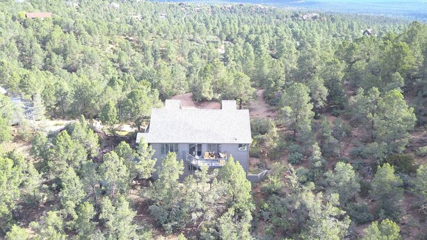Une maison de plain-pied entourée d’une forêt dense, avec une terrasse bien visible et une vue dégagée sur les arbres environnants.