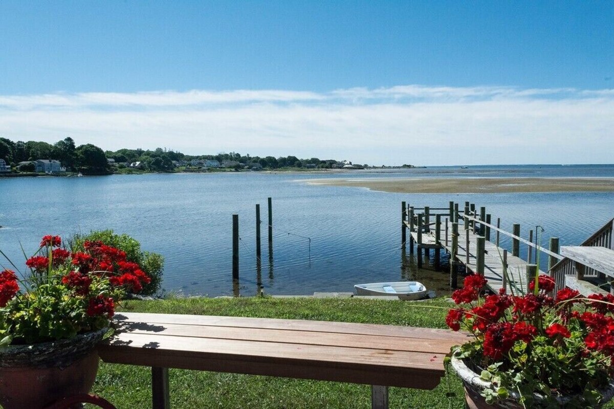 Imagen de perfil del propietario o de la propietaria