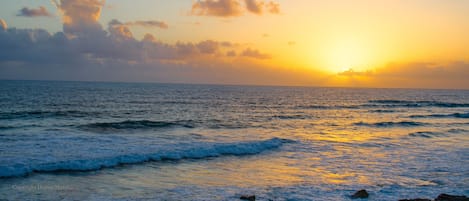 Plage, chaises longues, serviettes de plage
