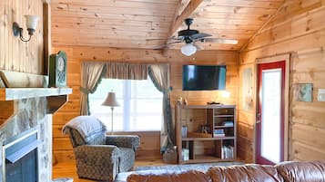 Smart TV, fireplace, DVD player, video library