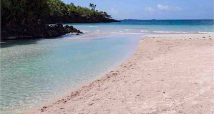 Estudio moderno en la jungla con jacuzzi cerca de una playa tranquila