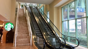 Una escalera mecánica en un edificio con ventanas amplias y un letrero de Starbucks.